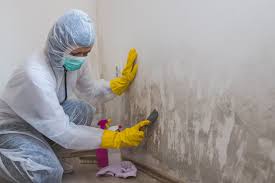 Mold Remediation for Vacation Homes in Glens Falls, NY